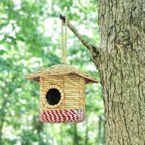 Ensemble de 2?maisons pour colibris, nid d'oiseau tissé à la main pour l' extérieur à suspendre, petites maisons d'oiseaux en herbe pour l'extérieur,  cabane à oiseaux en fibre naturelle pour se percher
