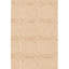 Geometric Area Rug in Pink