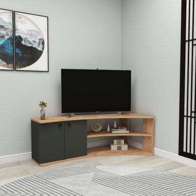 TV Stand with Shelves and Cabinet Dion