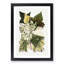 Selection of Ivy Leaves by Shirley Hibberd - Picture Frame Art Print-55762046-55762048