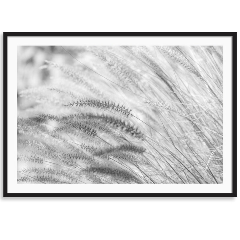 Summer Breeze par Carly Tabak - Photographie avec cadre photo, Bois noir, L 25 po x H 18 po