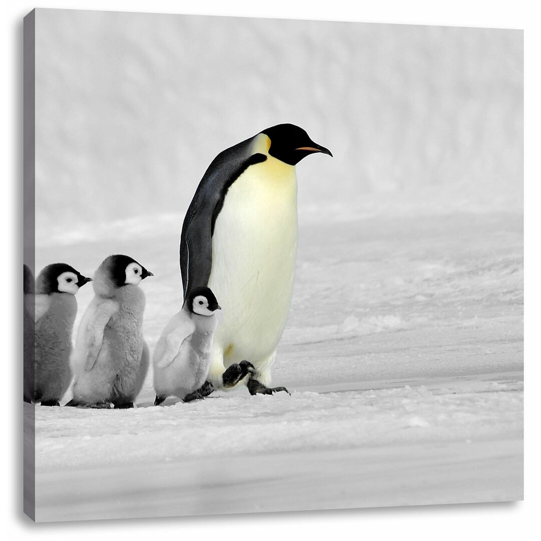 Leinwandbild 4 Kaiserpinguine im Schnee