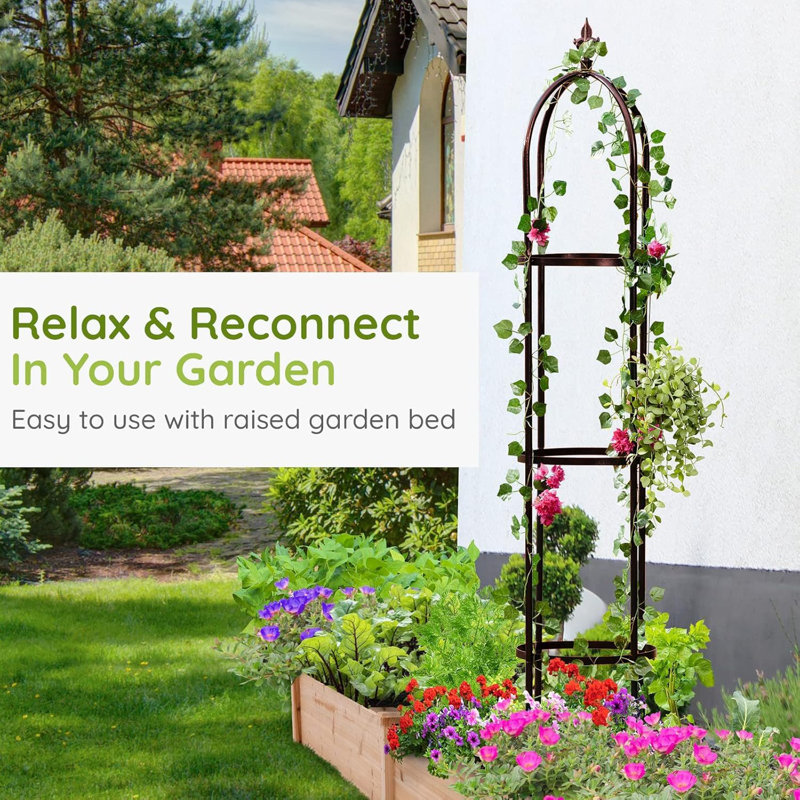 Treillis pour plantes grimpantes Sohvi, Bronze