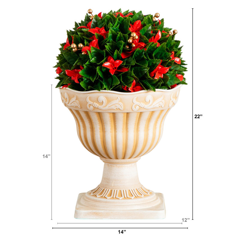 22 po Boule de Noël Photinia