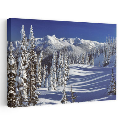 WINTER SNOW SCENE STEEPLE ROCK OLYMPIC NATIONAL PARK WASHINGTON USA by D. Logan - Wrapped Canvas Print