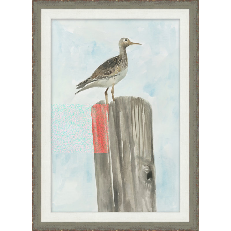 Oiseau de mer 1 - Peinture encadrée sur papier
