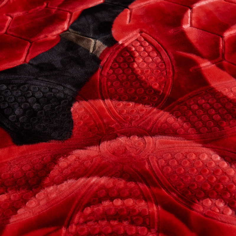 Embroidered Blanket