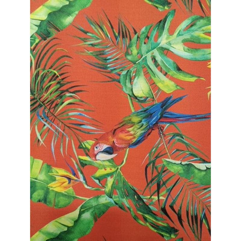 Chaise berçante Criselle, Macaw Fire