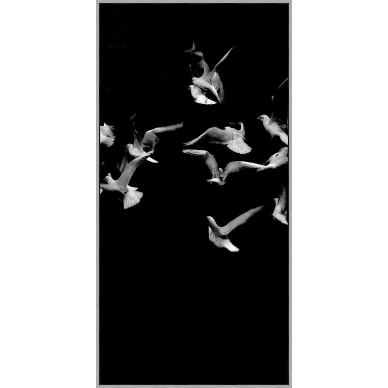 «Fly Together 3» par Thom Filicia - Photographie à cadre flottant sur toile