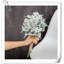 Arrangement Lillies-623490070-623490076