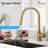OAKLAND Pull Down Kitchen Faucet-55635329
