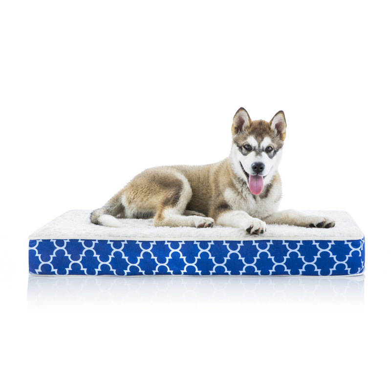 Large Navy Trellis Orthopedic Waterproof Dog Bed