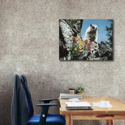 " Young Marmot " by Ron Parker