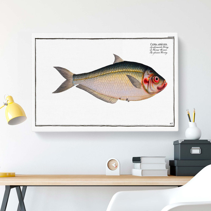 African Herring Fish - Wrapped Canvas, 40cm H x 60cm W x 3cm D