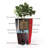 Byrum Plastic Self-Watering Indoor/Outdoor Pot Planter-93390422-93390427