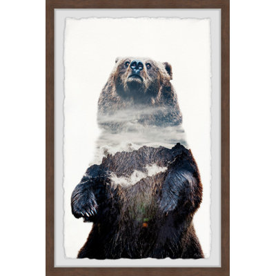 Dark Grizzly - Single Picture Frame Print
