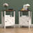 Set of 2 Farmhouse Nightstands, Sofa Side End Table with Storage