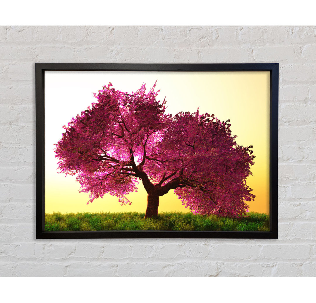 The Pink Tree Blossom Hilltop - Bilderrahmen Kunstdrucke auf Leinwand