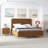 Kelii Upholstered Platform Bed-557059738-557059739