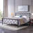 Singraul Metal Open-Frame Bed-2102500271-2047599310