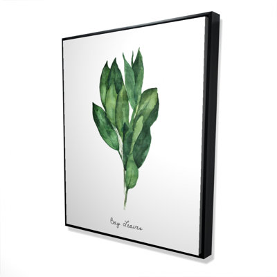 Bay Leaves Bundle-en Print On Canvas