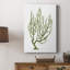 Coral Souvenirs III - galerie sur mesure Cavas-1649973677