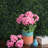 19.5" Artificial Geranium Bush-20583791
