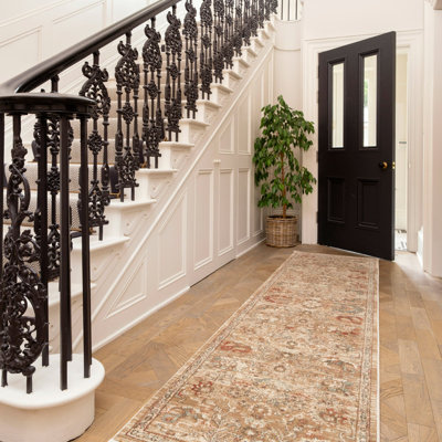 Runner Tarcisia Paisley Hand Tufted Area Rug