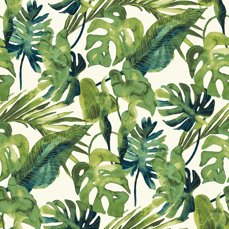 Falling Fronds, Aloe