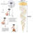 High Ceiling Crystal Staircase Chandelier-555933102-555933138-559244252