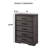 Contemporary Style 1pc Chest