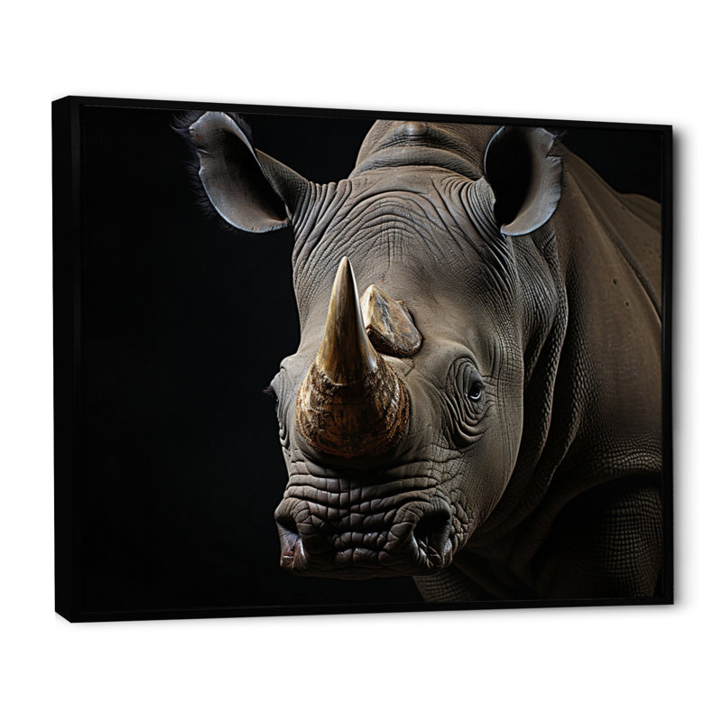 Portrait d'un rhinocéros gris - impression, Cadre flottant noir, H 12 po x l 20 po x P 1 po