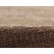 Cassandra Handwoven Indoor/Outdoor Area Rug in Brown