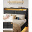 Steel Bed Frame