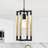 Figgers 1 - Light Lantern Pendant