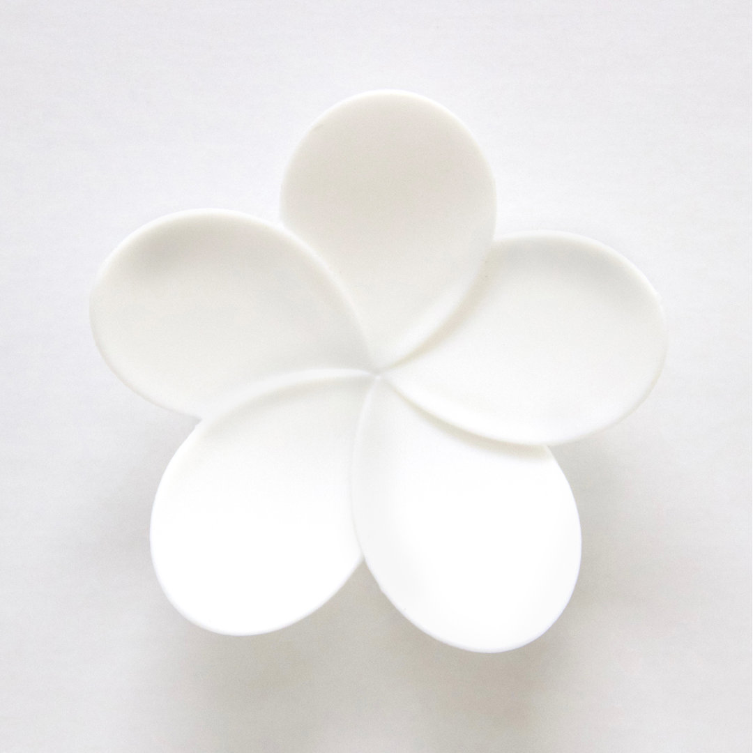 Plants & Flowers Non-Wall Damaging Wall Decal WallPops!