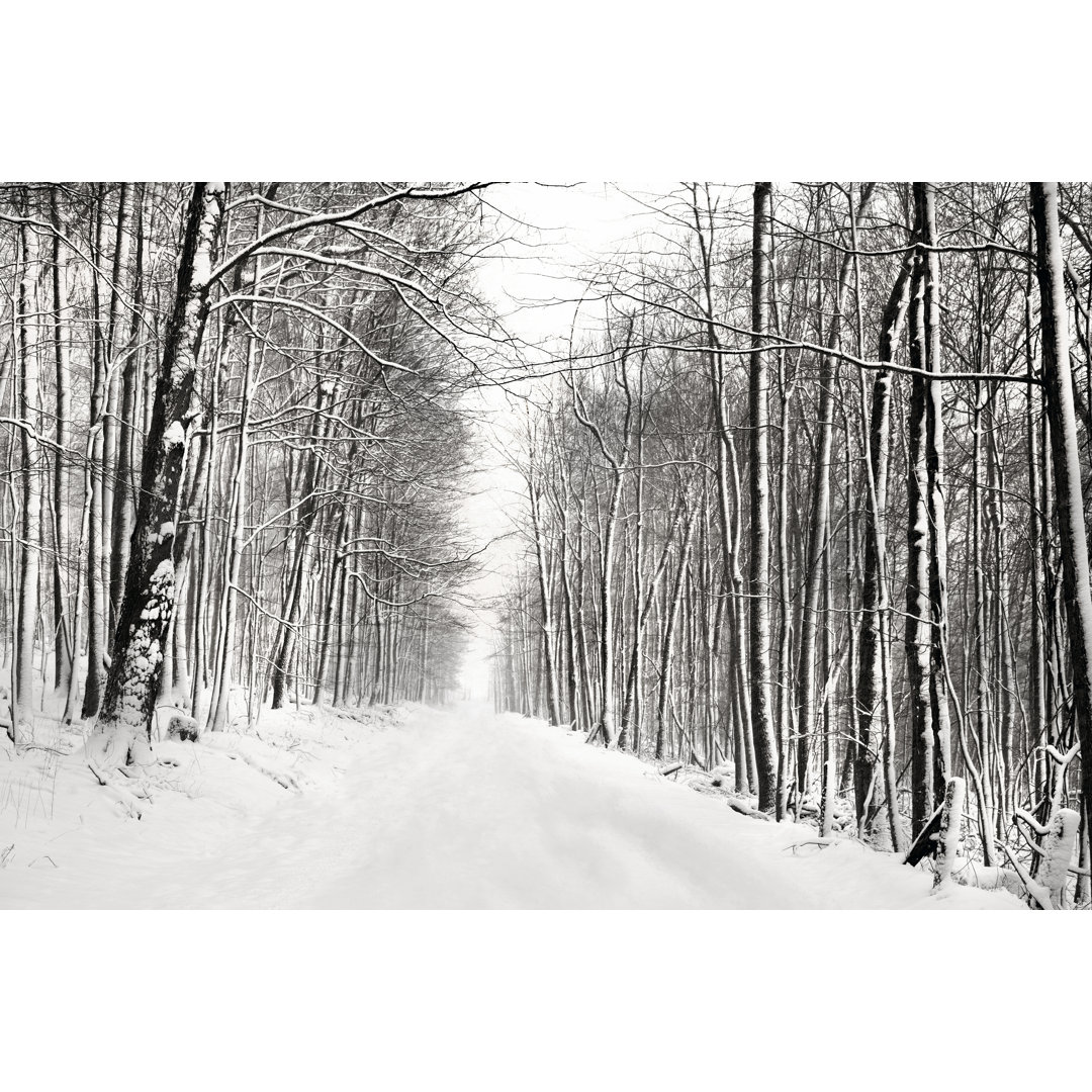 Leinwandbild A Snowy Walk III von James McLoughlin