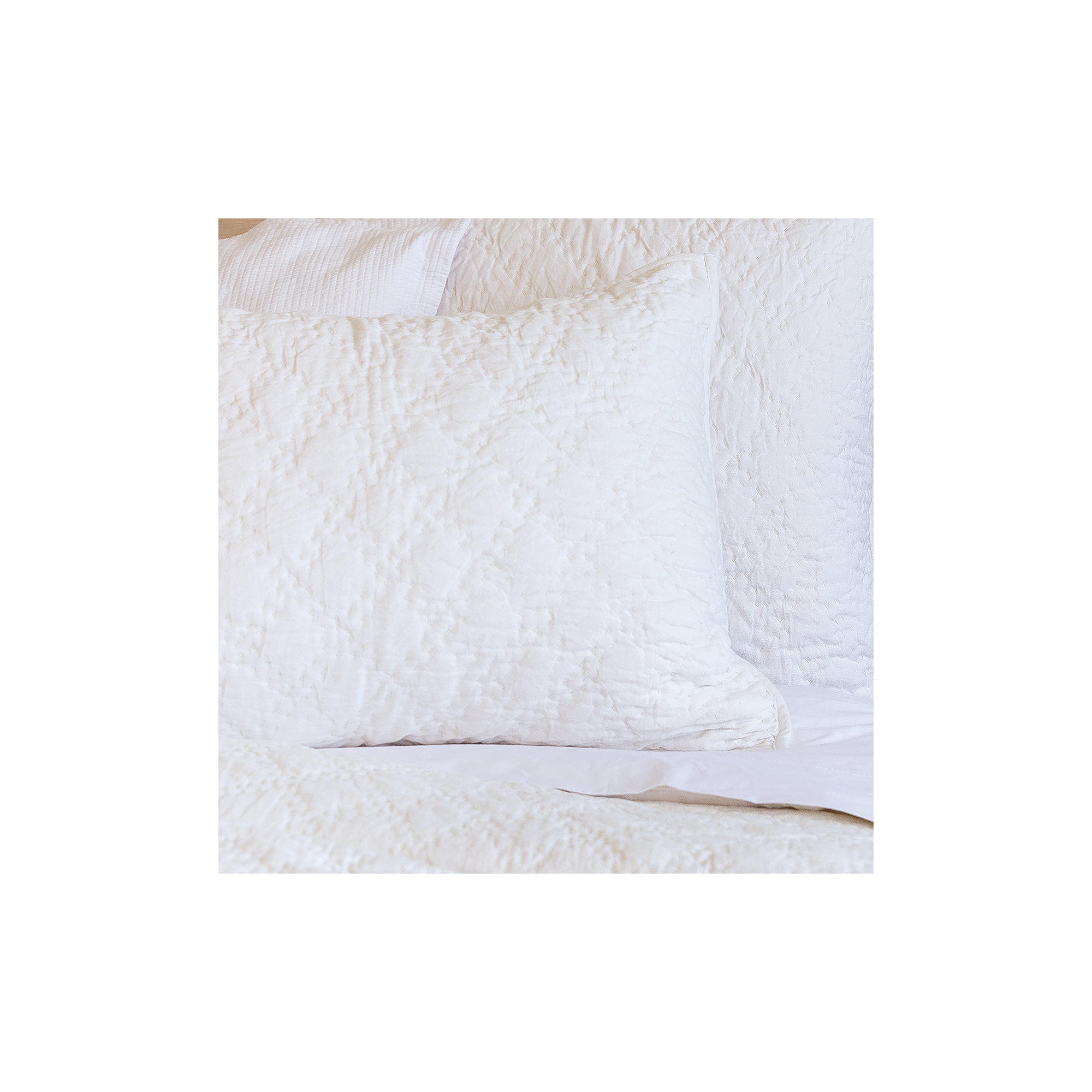 Gilmore 100% Cotton Sham, Euro, Dove