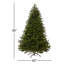 Sapin de Norvège-1582473070
