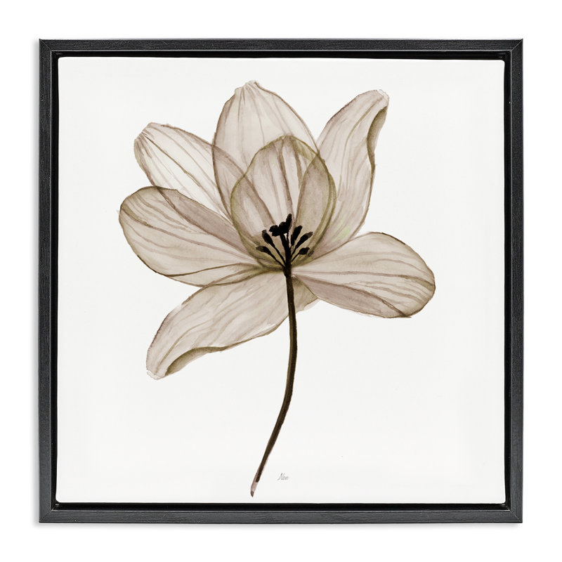 «Beige Opaque Flower Floater», art mural sur toile par Nan, Cadre flottant noir de jais, H 18 po x l 18 po