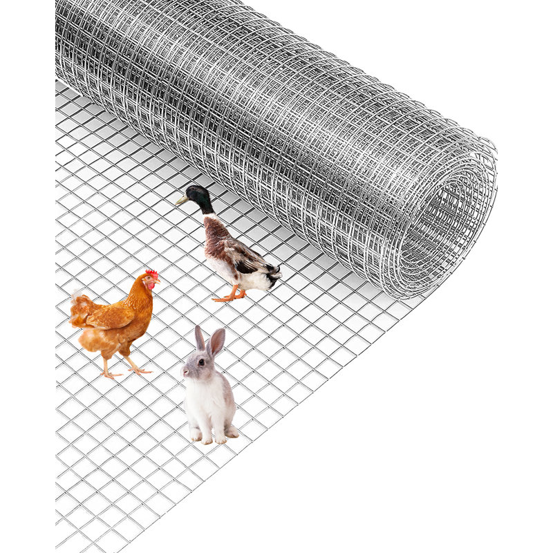 Chicken Fencing