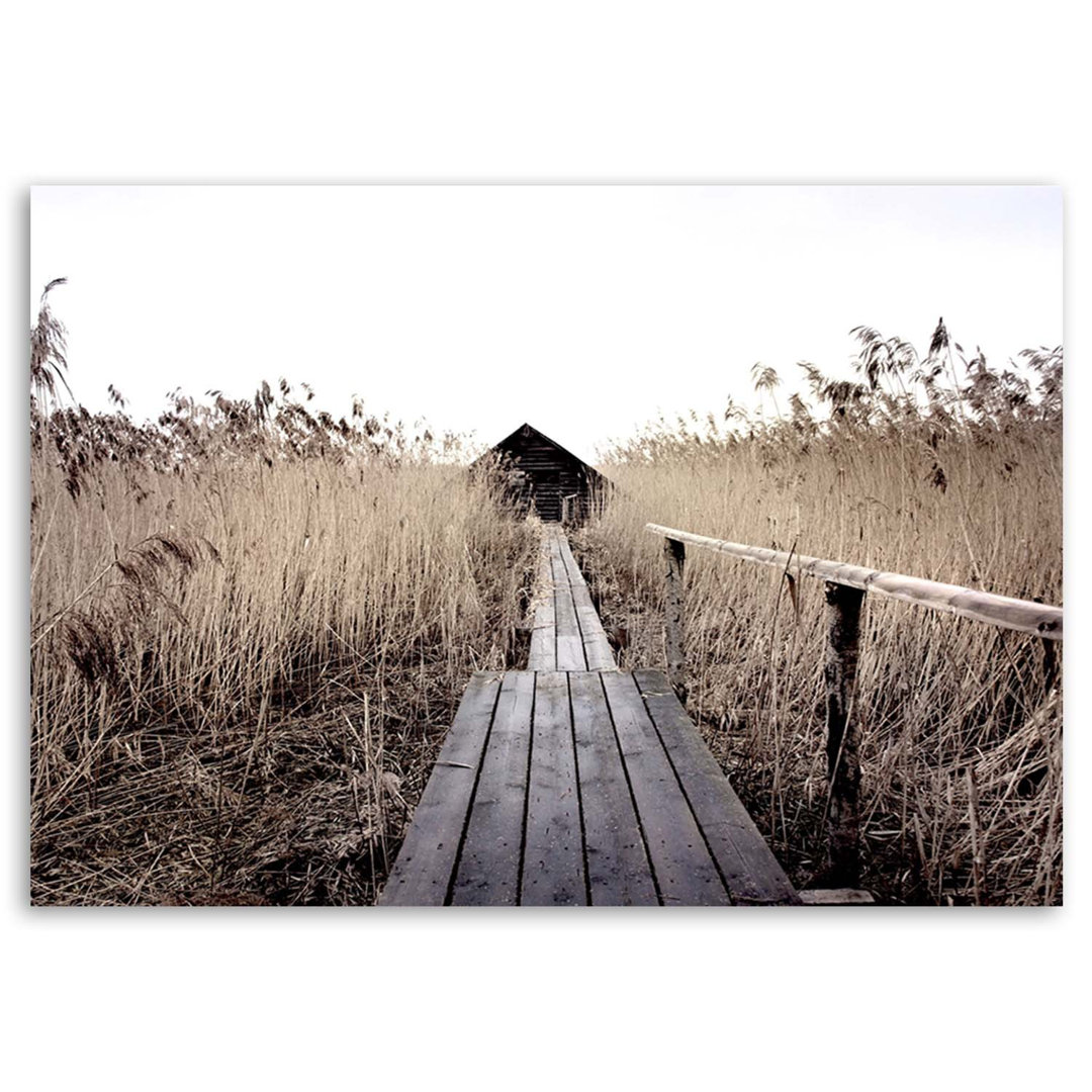 Leinwandbild  Seebrücke im hohen Schilf