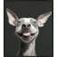 Tongue Out, Joy Out 1 - Framed-1065209802