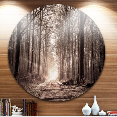 " Forest Trail In Sepia "