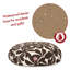 Coussin Plantation-9205615-9205617