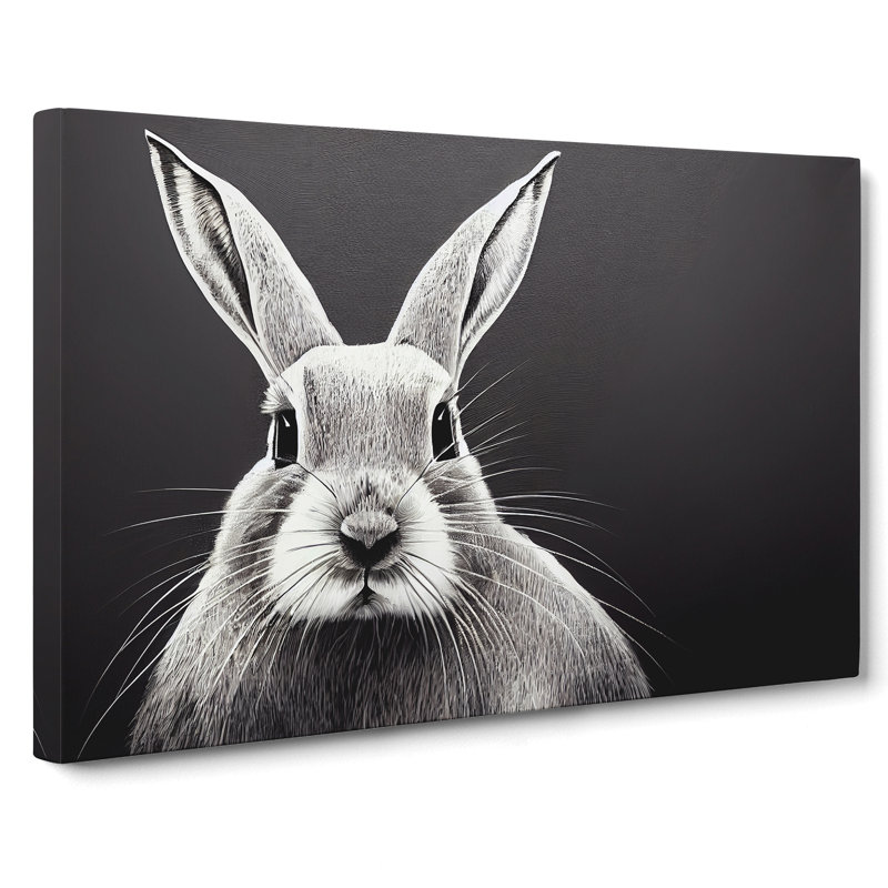 Face Of A Rabbit - Wrapped Canvas, 35cm H x 50cm W x 3cm D