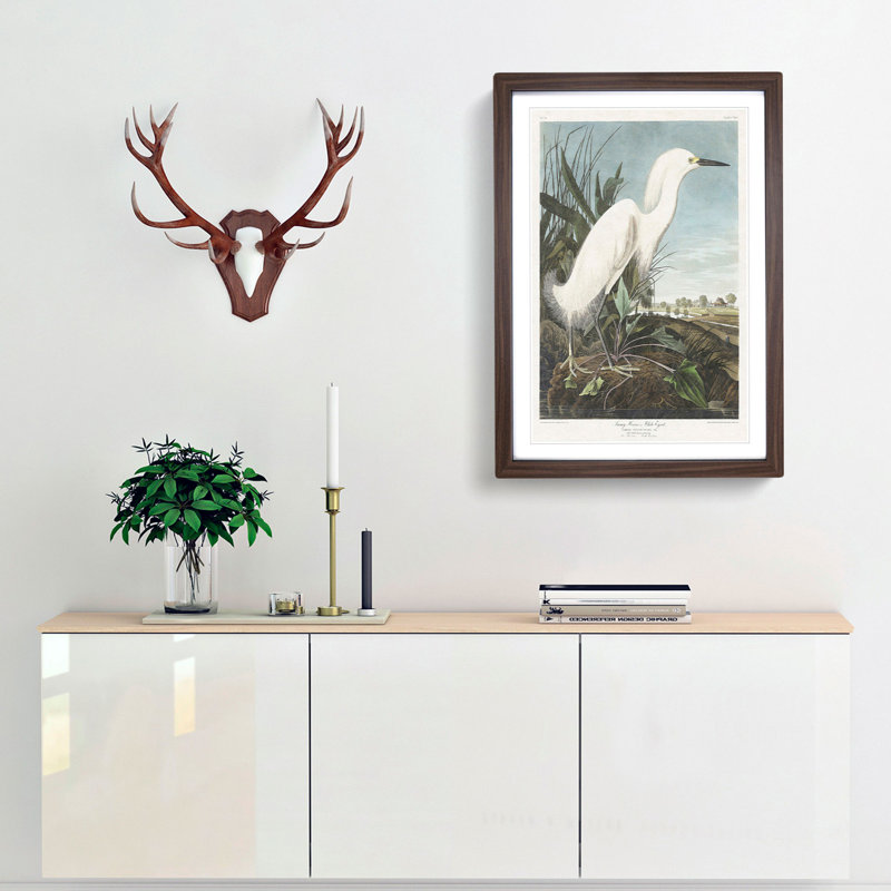 Snowy Heron by John Audubon - Picture Frame Painting Print, Walnut Framed, 65cm H x 48cm W x 2cm D