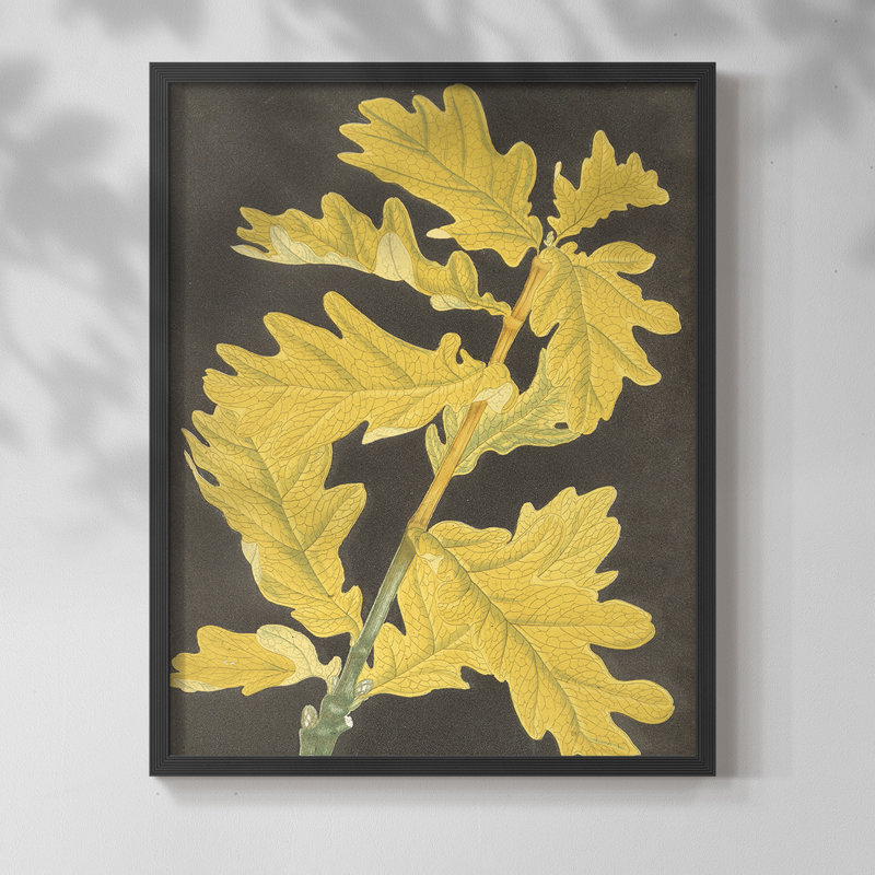 «Vintage Floral CCXLVI» sur, Noir, H 10 po x l 8 po