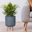 Honeycomb Style Cylinder Round Planter with Feet-379134895
