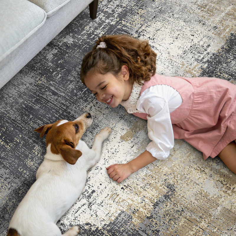 Washable Area Rug, Grey/Gold, Rectangle 120 x 170 cm